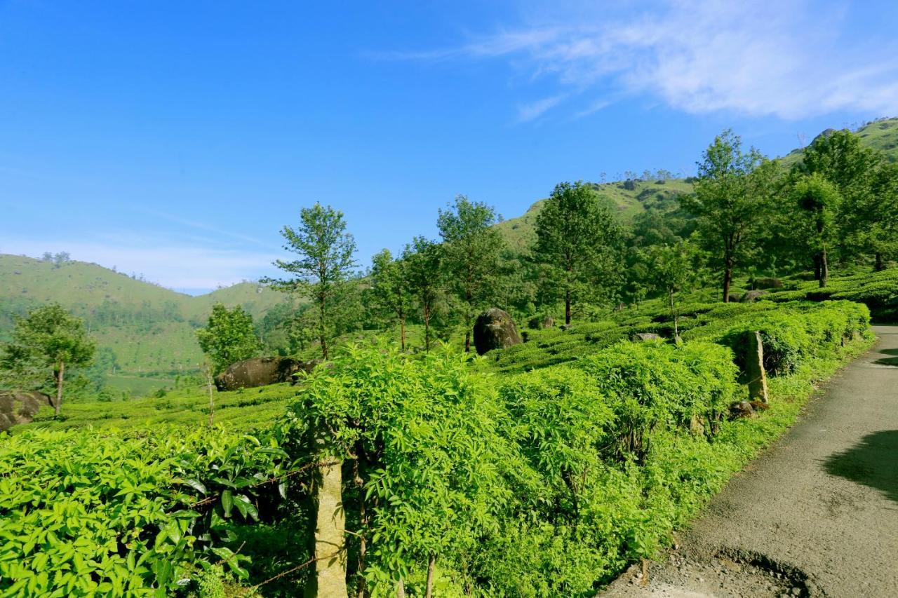مونار Green Magic Home المظهر الخارجي الصورة