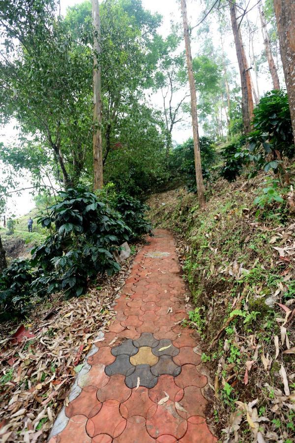 مونار Green Magic Home المظهر الخارجي الصورة